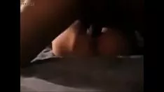播放 种族湿代言