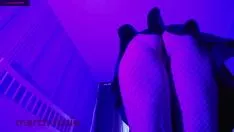 Riproduci La webcam calda simula le fa e accarezza il suo gattino bagnato - marcia su foxie