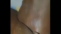 تشغيل القط السمين يحصل على ساشي كبير