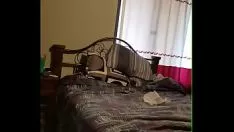 播放 妓女 cochala 去我的忍受和乱搞我