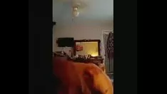 播放 Woof mandis 后门