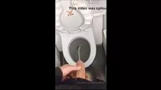 Reproducir Danny d pis digerir