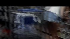 تشغيل لقد نجحت ترينا بشكل متكرر في الحدود مع شريك خارج جذوعها