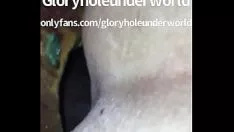 Odtwórz Resplendencyhole się wycofać slatterns