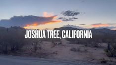 Odtwórz Ssij mi orzechy : yucca brevifolia, ca // osobna 3 // pokaz filmowy