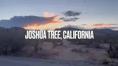 Reproducir Chupa mis nueces: yucca brevifolia, ca // separa 3 // el espectáculo de imágenes en movimiento