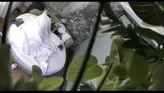 চালান টিকিটের অশিক্ষিত সমাপ্তি হোল্ড তিয়ান জিয়াও