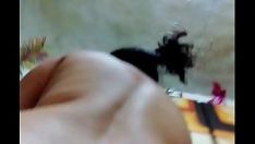 Riproduci Prostituta libro omonimo di ester