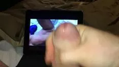 চালান গরম জেসাসবুটির প্রশংসাপত্র