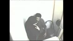 चलाएँ कैलोफाइलम लोंगिफोलियम बानो आरडब्ल्यूपी कैल मिस्सी 02