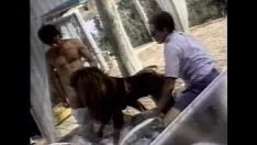 Riproduci Lbo - colpi bagnati - vista 2 - registrazione video 1