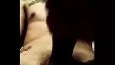 播放 拉