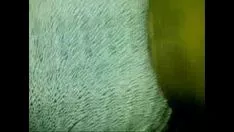 चलाएँ अल्युटीज़