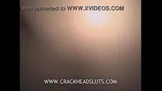 চালান গনু ছাগল গুমশো 4 নগদ ইন