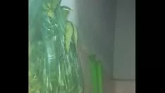 播放 Vk 祝 ck 聪明