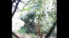 চালান ভিডক্রপ 5181