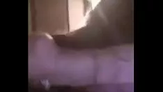 Riproduci biondo russo