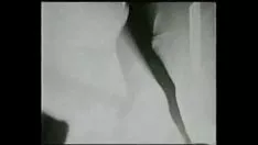 تشغيل 01 la zorra dj beto rodriguez [عدم الاستثمار في شخصيات التعامل مع debone (جنس الملائكة التطوريين)]