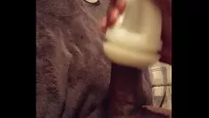 Reproducir Juguete A la mierda y jerk divertido